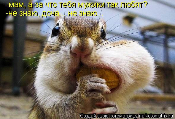 -мам, а за что тебя мужики так любят? -не знаю, доча... не знаю...... Котоматрица: -мам, а за что тебя мужики так любят? -не знаю, доча... не знаю...