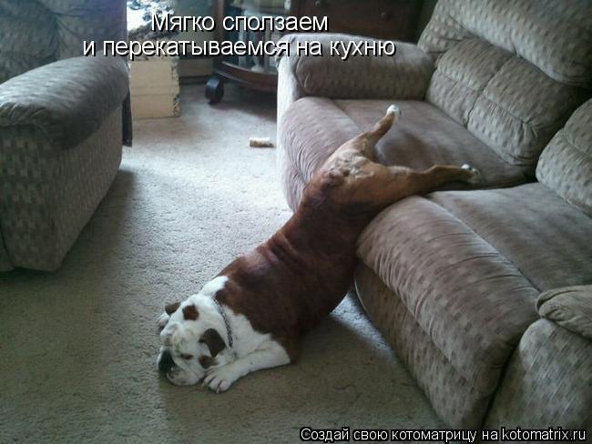 Мягко сползаем и перекатываемся на кухню... Котоматрица: Мягко сползаем и перекатываемся на кухню