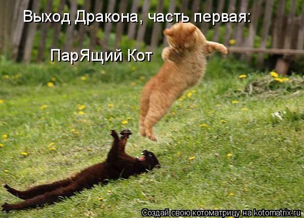 Выход Дракона, часть первая: ПарЯщий Кот... Котоматрица: Выход Дракона, часть первая: ПарЯщий Кот