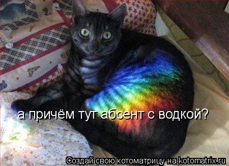 а причём тут абсент с водкой?... Котоматрица: а причём тут абсент с водкой?