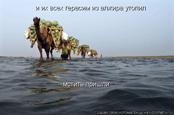 и их всех герасим из алжира утопил мстить пришли... Котоматрица: и их всех герасим из алжира утопил мстить пришли