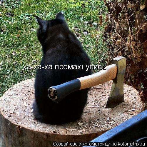 ха-ха-ха промахнулись... Котоматрица: ха-ха-ха промахнулись