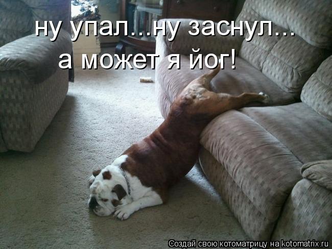 ну упал...ну заснул... а может я йог!... Котоматрица: ну упал...ну заснул... а может я йог!