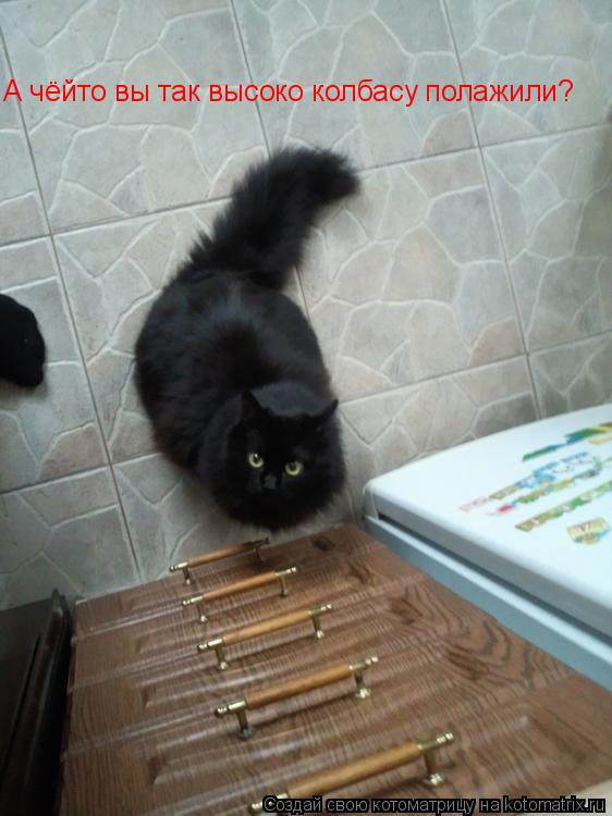 А чёйто вы так высоко колбасу полажили?... Котоматрица: А чёйто вы так высоко колбасу полажили?