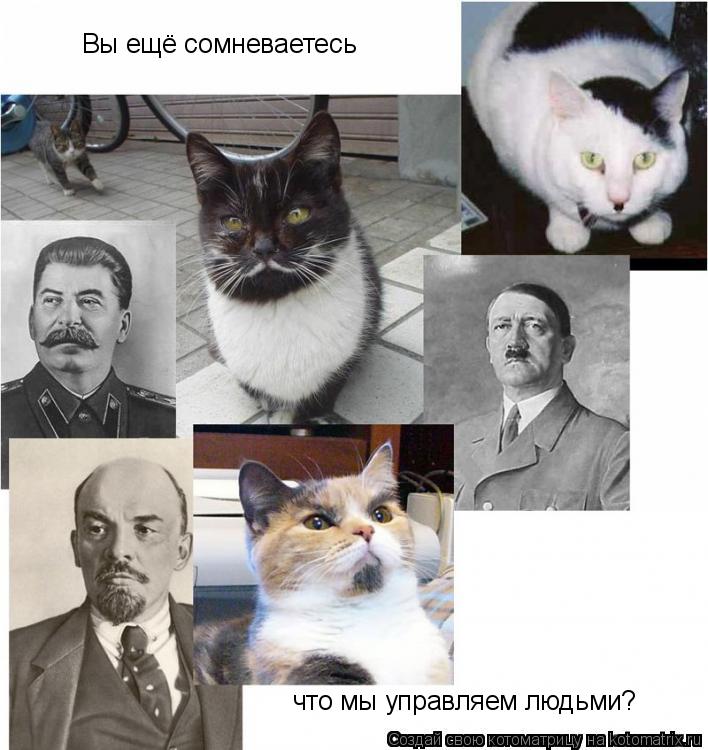 Вы ещё сомневаетесь что мы управляем людьми?... Котоматрица: Вы ещё сомневаетесь что мы управляем людьми?