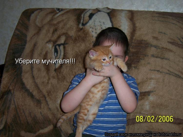Уберите мучителя!!!... Котоматрица: Уберите мучителя!!!