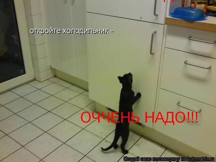 откройте холодильник - ОЧЧЕНЬ НАДО!!! ОЧЧЕНЬ НАДО!!!... Котоматрица: откройте холодильник - ОЧЧЕНЬ НАДО!!! ОЧЧЕНЬ НАДО!!!