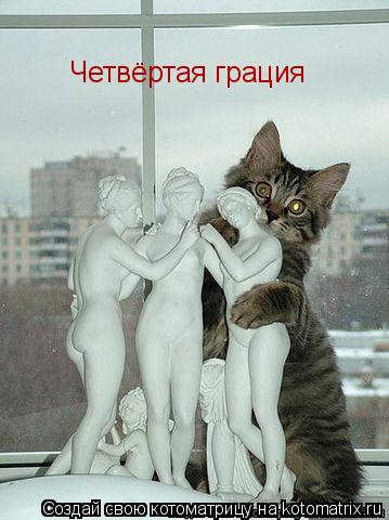 Четвёртая грация... Котоматрица: Четвёртая грация
