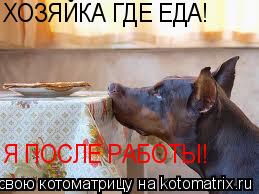 ХОЗЯЙКА ГДЕ ЕДА! Я ПОСЛЕ РАБОТЫ!... Котоматрица: ХОЗЯЙКА ГДЕ ЕДА! Я ПОСЛЕ РАБОТЫ!