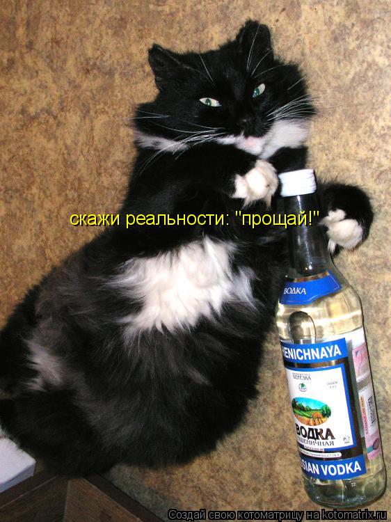 скажи реальности: "прощай!"... Котоматрица: скажи реальности: "прощай!"