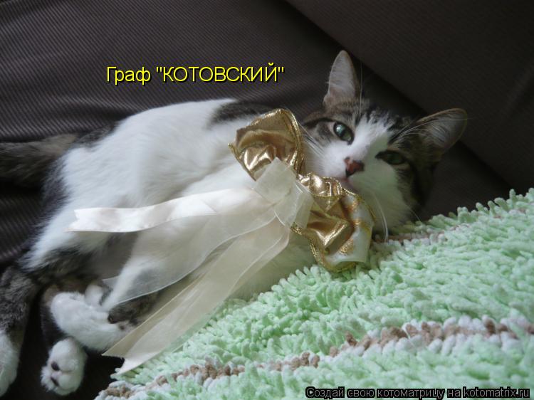 Граф "КОТОВСКИЙ"... Котоматрица: Граф "КОТОВСКИЙ"