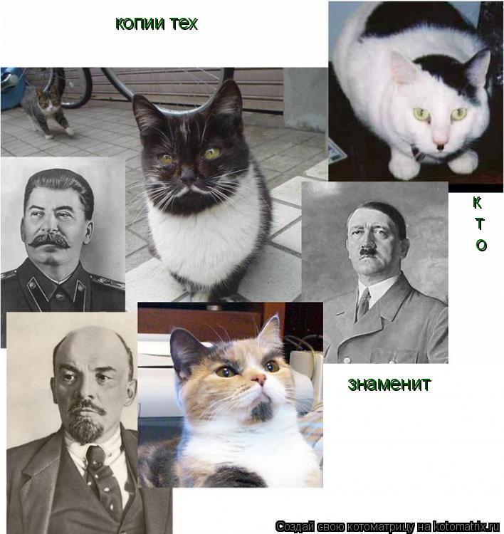 копии тех к т о знаменит... Котоматрица: копии тех к т о знаменит