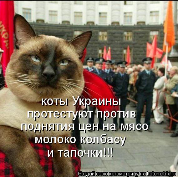 поднятия цен на мясо молоко колбасу и тапочки!!! коты Украины протестуют против... Котоматрица: поднятия цен на мясо молоко колбасу и тапочки!!! коты Украины протестуют против