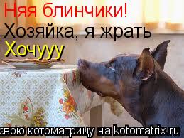 Няя блинчики! Хозяйка, я жрать Хочууу... Котоматрица: Няя блинчики! Хозяйка, я жрать Хочууу