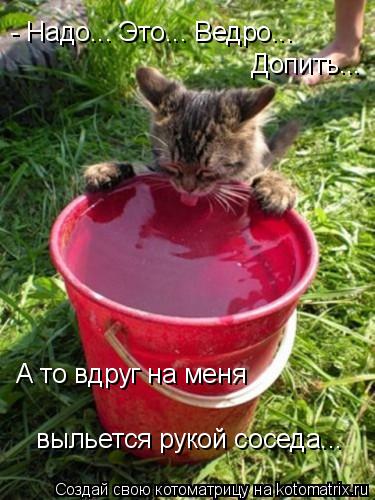 - Надо... Это... Ведро... Допить... А то вдруг на меня выльется рукой соседа...... Котоматрица: - Надо... Это... Ведро... Допить... А то вдруг на меня выльется рукой соседа...
