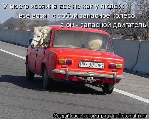 У моего хозяина все не как у людей: все возят с собой запасное колесо, а он - запасной двигатель!... Котоматрица: У моего хозяина все не как у людей: все возят с собой запасное колесо, а он - запасной двигатель!