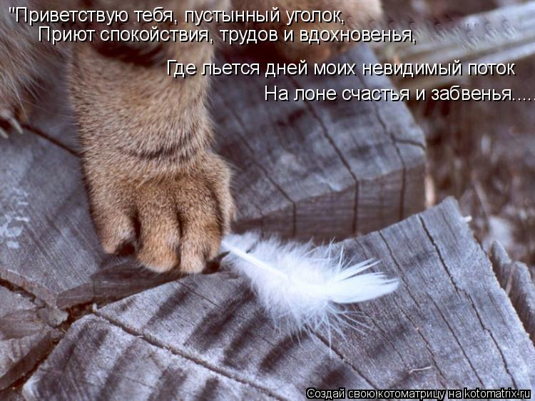 "Приветствую тебя, пустынный уголок, Приют спокойствия, трудов и вдохновенья, Где л... Котоматрица: "Приветствую тебя, пустынный уголок, Приют спокойствия, трудов и вдохновенья, Где льется дней моих невидимый поток