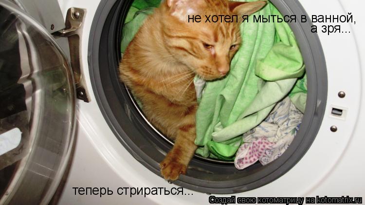 не хотел я мыться в ванной, а зря... теперь стрираться...... Котоматрица: не хотел я мыться в ванной, а зря... теперь стрираться...