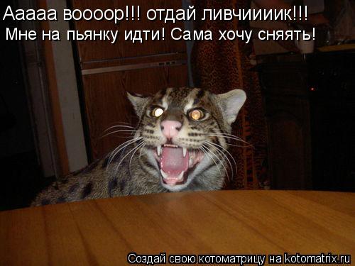 Ааааа воооор!!! отдай ливчиииик!!! Мне на пьянку идти! Сама хочу сняять!... Котоматрица: Ааааа воооор!!! отдай ливчиииик!!! Мне на пьянку идти! Сама хочу сняять!
