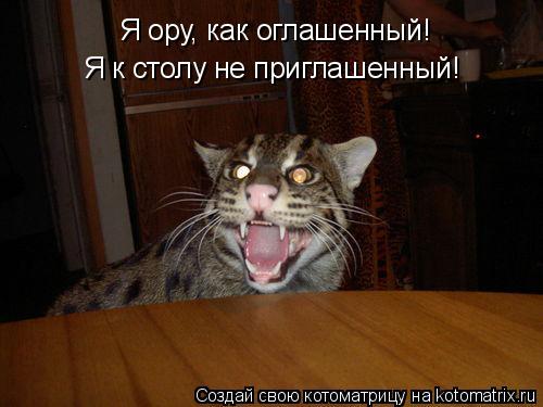 Я ору, как оглашенный! Я к столу не приглашенный!... Котоматрица: Я ору, как оглашенный! Я к столу не приглашенный!