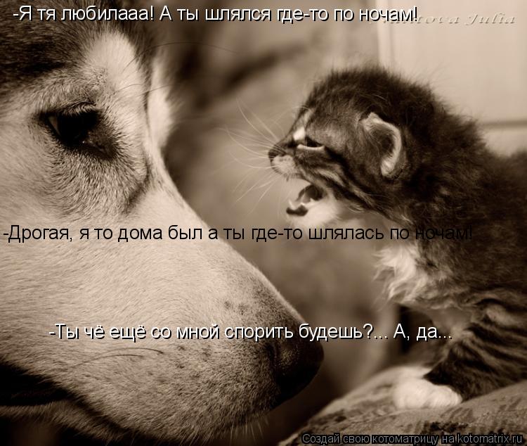 -Я тя любилааа! А ты шлялся где-то по ночам! -Дрогая, я то дома был а ты где-то шлялась по ночам! -Ты... Котоматрица: -Я тя любилааа! А ты шлялся где-то по ночам! -Дрогая, я то дома был а ты где-то шлялась по ночам! -Ты чё ещё со мной спорить будешь?... А, да...