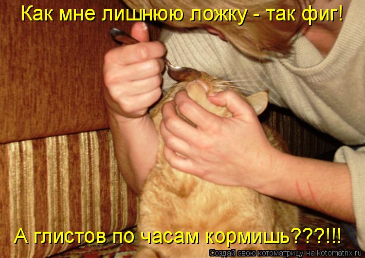Как мне лишнюю ложку - так фиг! А глистов по часам кормишь???!!!... Котоматрица: Как мне лишнюю ложку - так фиг! А глистов по часам кормишь???!!!