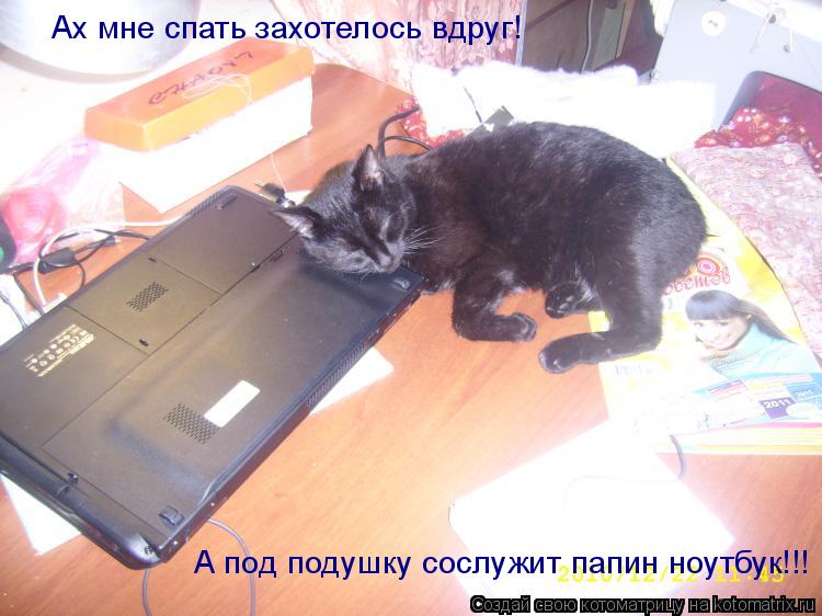 Ах мне спать захотелось вдруг! А под подушку сослужит папин ноутбук!!!... Котоматрица: Ах мне спать захотелось вдруг! А под подушку сослужит папин ноутбук!!!