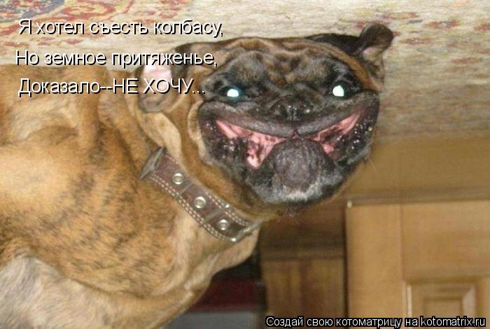 Я хотел съесть колбасу, Но земное притяженье, Доказало--НЕ ХОЧУ...... Котоматрица: Я хотел съесть колбасу, Но земное притяженье, Доказало--НЕ ХОЧУ...