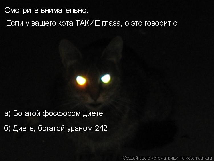 Смотрите внимательно: Если у вашего кота ТАКИЕ глаза, о это говорит о а) Богатой фосфором диете б) Ди... Котоматрица: Смотрите внимательно: Если у вашего кота ТАКИЕ глаза, о это говорит о а) Богатой фосфором диете б) Диете, богатой ураном-242