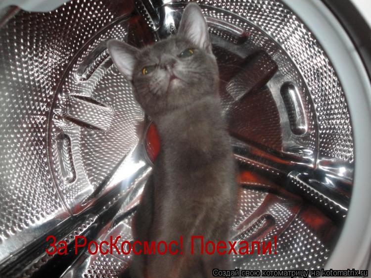 За РосКосмос! Поехали!... Котоматрица: За РосКосмос! Поехали!
