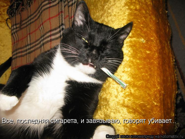 Все, последняя сигарета, и завязываю, говорят убивает...... Котоматрица: Все, последняя сигарета, и завязываю, говорят убивает...