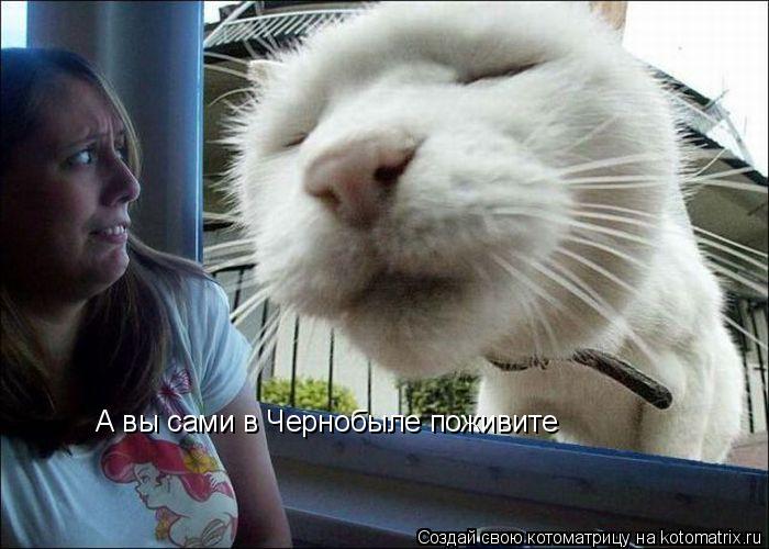 А вы сами в Чернобыле поживите... Котоматрица: А вы сами в Чернобыле поживите
