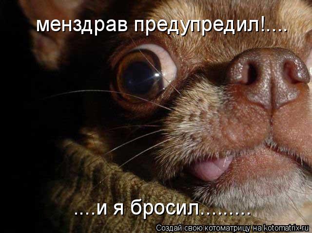 менздрав предупредил!.... ....и я бросил............ Котоматрица: менздрав предупредил!.... ....и я бросил.........