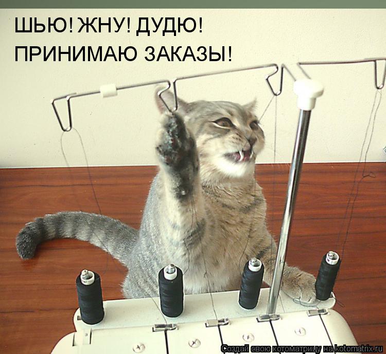 ШЬЮ! ЖНУ! ДУДЮ! ПРИНИМАЮ ЗАКАЗЫ!... Котоматрица: ШЬЮ! ЖНУ! ДУДЮ! ПРИНИМАЮ ЗАКАЗЫ!