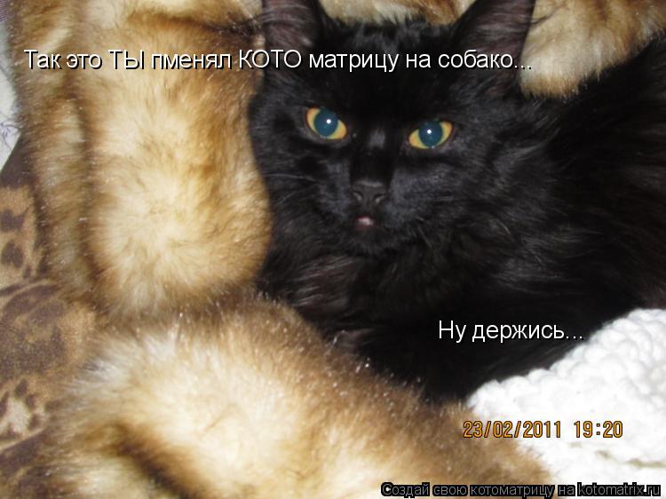 Так это ТЫ пменял КОТО матрицу на собако... Ну держись.. а Ну держись...... Котоматрица: Так это ТЫ пменял КОТО матрицу на собако... Ну держись.. а Ну держись...