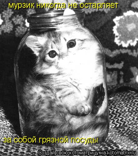 мурзик никогда не остарляет за собой грязной посуды... Котоматрица: мурзик никогда не остарляет за собой грязной посуды
