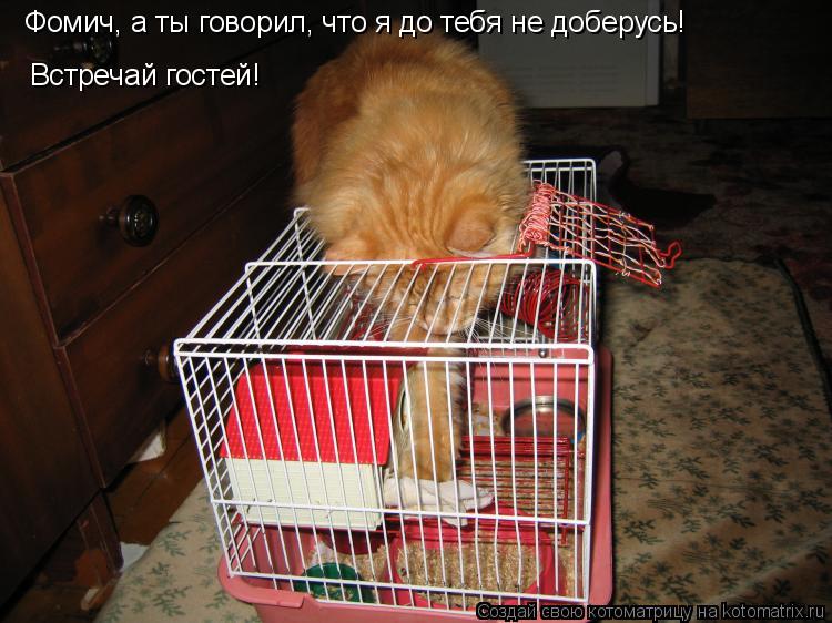 Фомич, а ты говорил, что я до тебя не доберусь! Встречай гостей!... Котоматрица: Фомич, а ты говорил, что я до тебя не доберусь! Встречай гостей!