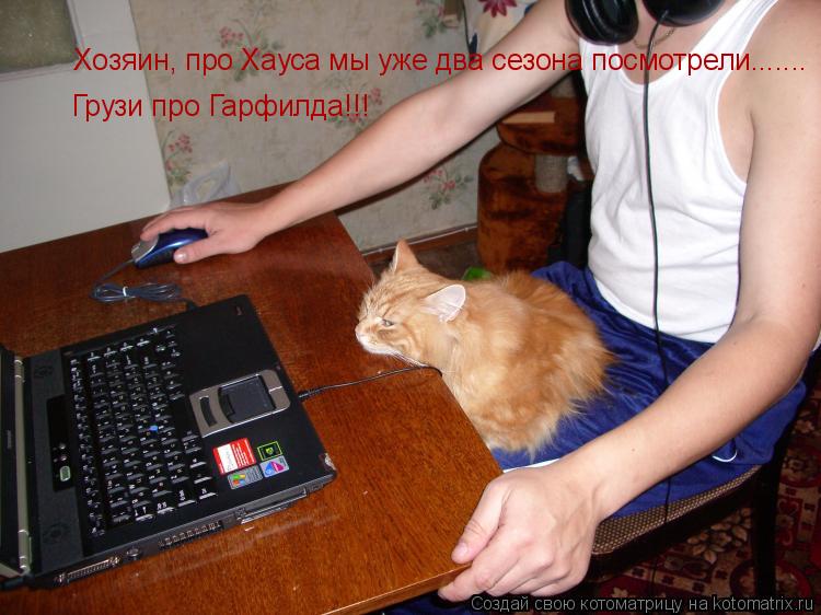 Хозяин, про Хауса мы уже два сезона посмотрели....... Грузи про Гарфилда!!!... Котоматрица: Хозяин, про Хауса мы уже два сезона посмотрели....... Грузи про Гарфилда!!!