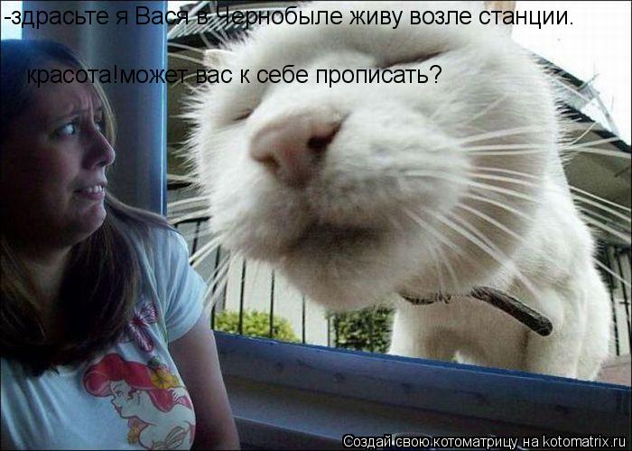 -здрасьте я Вася в Чернобыле живу возле станции. красота!может вас к себе прописать?... Котоматрица: -здрасьте я Вася в Чернобыле живу возле станции. красота!может вас к себе прописать?