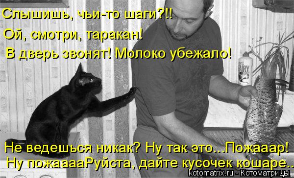 Ну пожааааРуйста, дайте кусочек кошаре... Не ведешься никак? Ну так это...Пожааар! Слышишь, чьи-то ... Котоматрица: Ну пожааааРуйста, дайте кусочек кошаре... Не ведешься никак? Ну так это...Пожааар! Слышишь, чьи-то шаги?!! Ой, смотри, таракан! В дверь звонят!