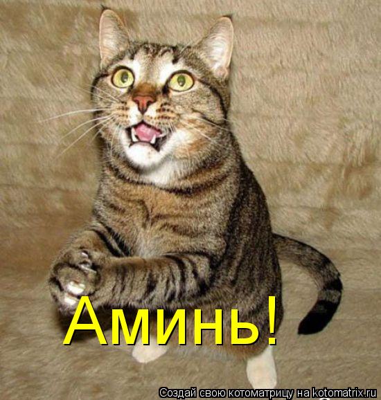 Аминь!... Котоматрица: Аминь!