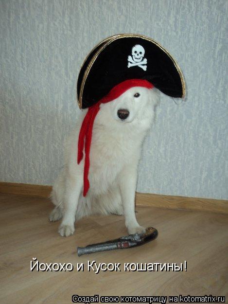 Йохохо и Кусок кошатины!... Котоматрица: Йохохо и Кусок кошатины!