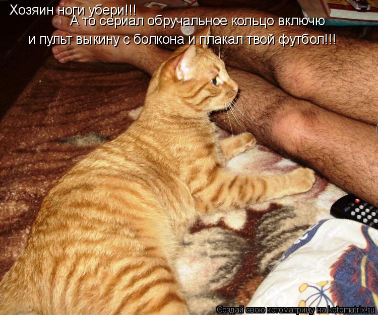Хозяин ноги убери!!! А то сериал обручальное кольцо включю и пульт выкину с болкона и плакал твой фут... Котоматрица: Хозяин ноги убери!!! А то сериал обручальное кольцо включю и пульт выкину с болкона и плакал твой футбол!!!