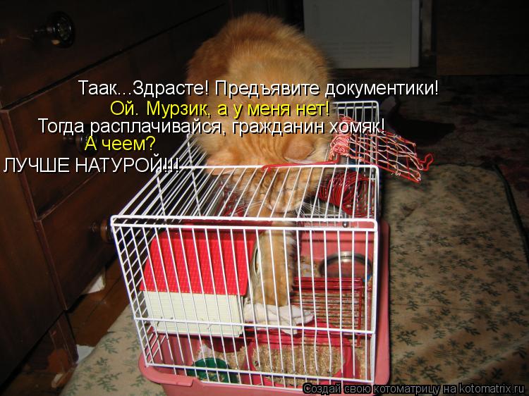 Таак...Здрасте! Предъявите документики! Ой. Мурзик, а у меня нет! Тогда расплачивайся, гражданин хомя... Котоматрица: Таак...Здрасте! Предъявите документики! Ой. Мурзик, а у меня нет! Тогда расплачивайся, гражданин хомяк! А чеем? ЛУЧШЕ НАТУРОЙ!!!