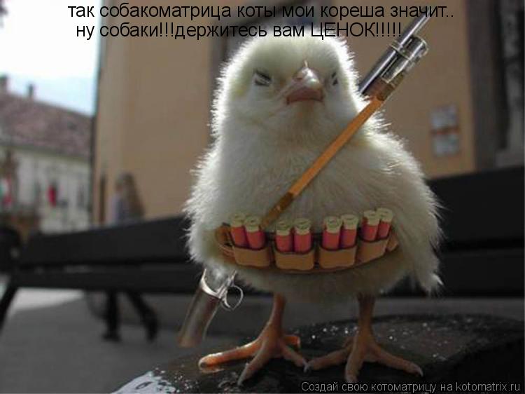 так собакоматрица коты мои кореша значит.. ну собаки!!!держитесь вам ЦЕНОК!!!!!... Котоматрица: так собакоматрица коты мои кореша значит.. ну собаки!!!держитесь вам ЦЕНОК!!!!!