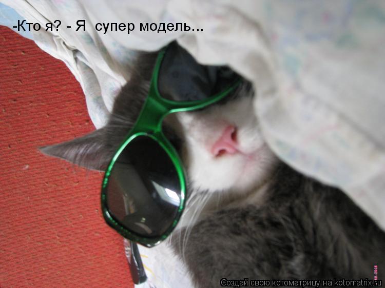-Кто я? - Я супер модель...... Котоматрица: -Кто я? - Я супер модель...