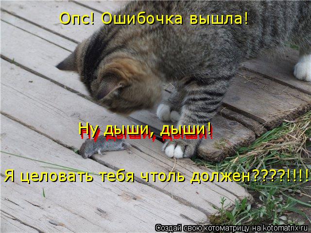 Опс! Ошибочка вышла! Ну дыши, дыши! Ну дыши, дыши! Ну дыши, дыши! Я целовать тебя чтоль должен????... Котоматрица: Опс! Ошибочка вышла! Ну дыши, дыши! Ну дыши, дыши! Ну дыши, дыши! Я целовать тебя чтоль должен????!!!!