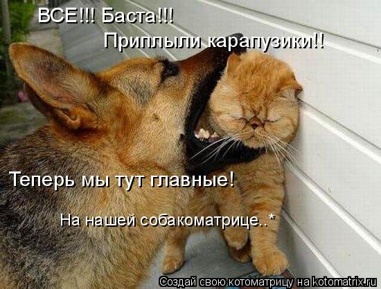 ВСЕ!!! Баста!!! Приплыли карапузики!! Теперь мы тут главные! На нашей собакоматрице..*... Котоматрица: ВСЕ!!! Баста!!! Приплыли карапузики!! Теперь мы тут главные! На нашей собакоматрице..*