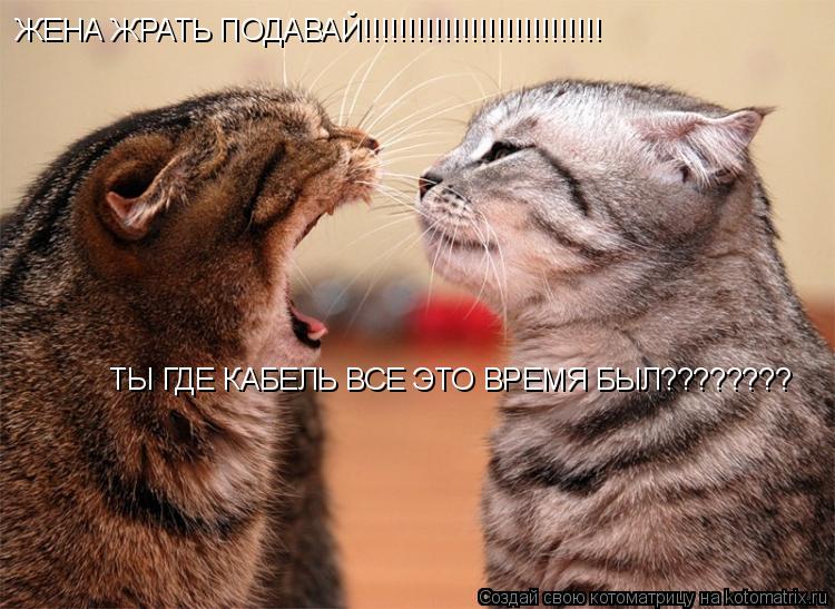 ЖЕНА ЖРАТЬ ПОДАВАЙ!!!!!!!!!!!!!!!!!!!!!!!!!!! ТЫ ГДЕ КАБЕЛЬ ВСЕ ЭТО ВРЕМЯ БЫЛ????????... Котоматрица: ЖЕНА ЖРАТЬ ПОДАВАЙ!!!!!!!!!!!!!!!!!!!!!!!!!!! ТЫ ГДЕ КАБЕЛЬ ВСЕ ЭТО ВРЕМЯ БЫЛ????????