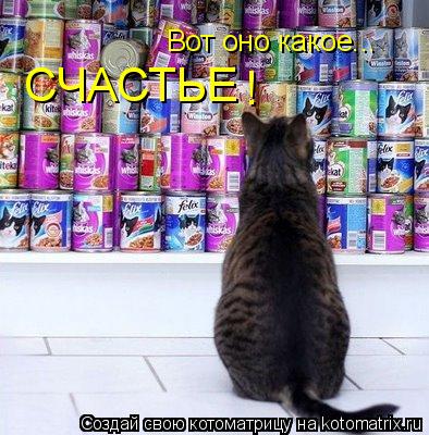 Вот оно какое... СЧАСТЬЕ !... Котоматрица: Вот оно какое... СЧАСТЬЕ !